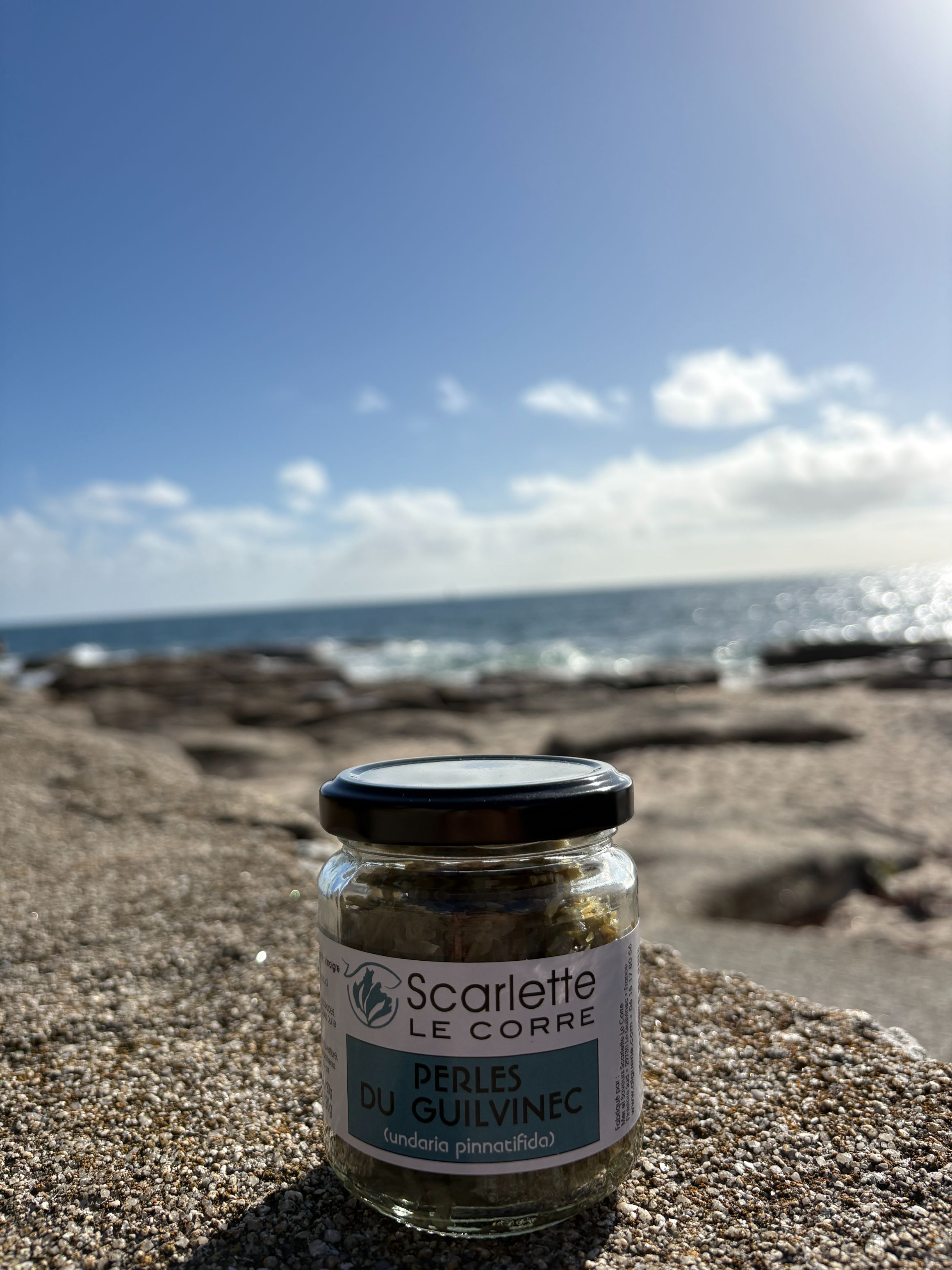 Perles du Guilvinec - Undaria Pinnatifida