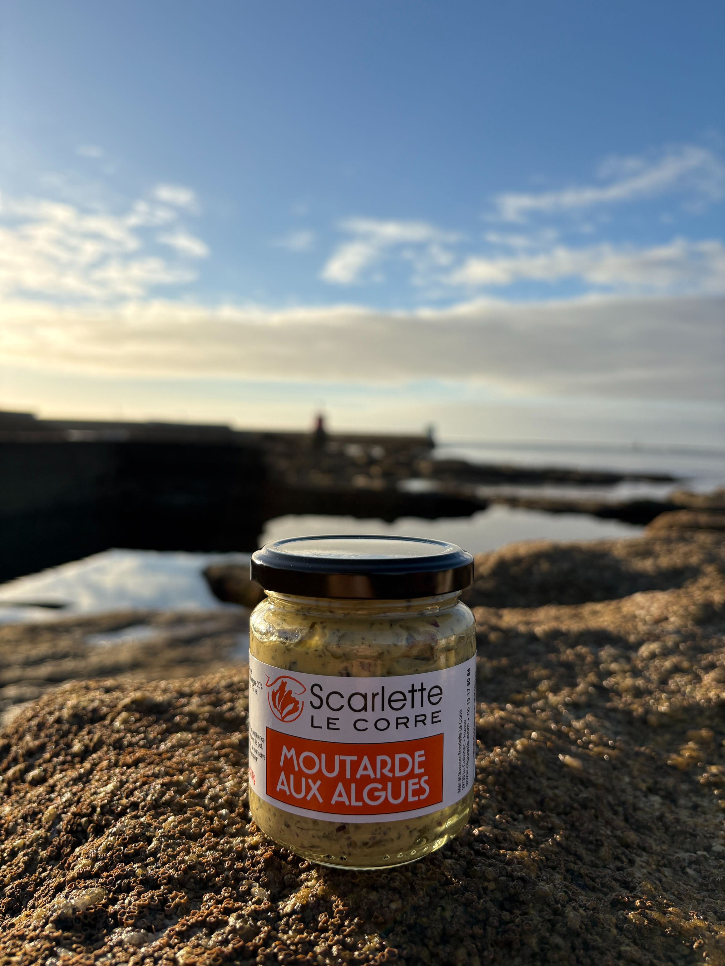Moutarde aux algues marines - verrine de 210g