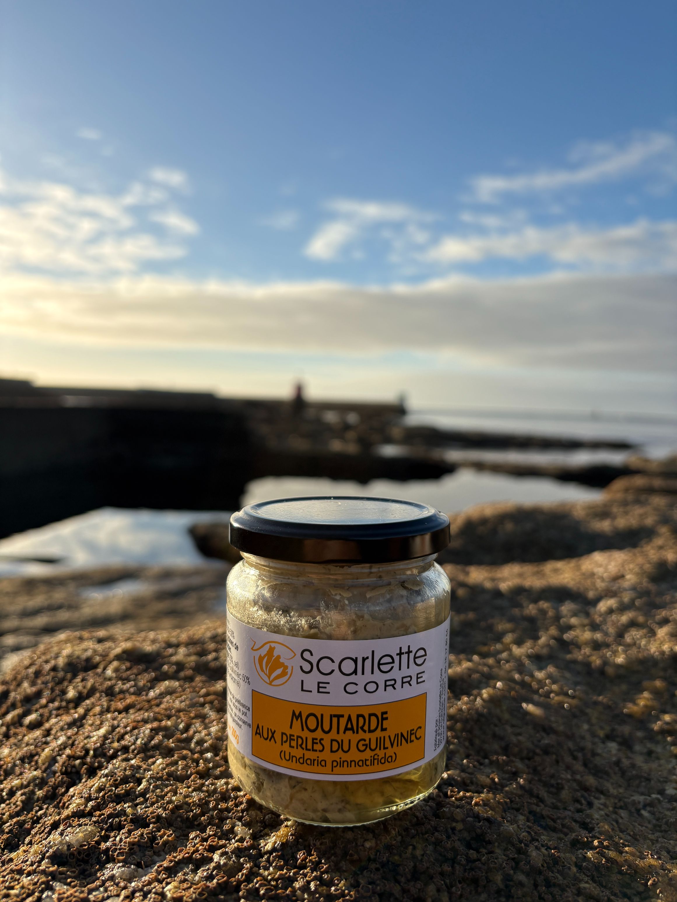 Moutarde aux Perles du Guilvinec - verrine de 200g