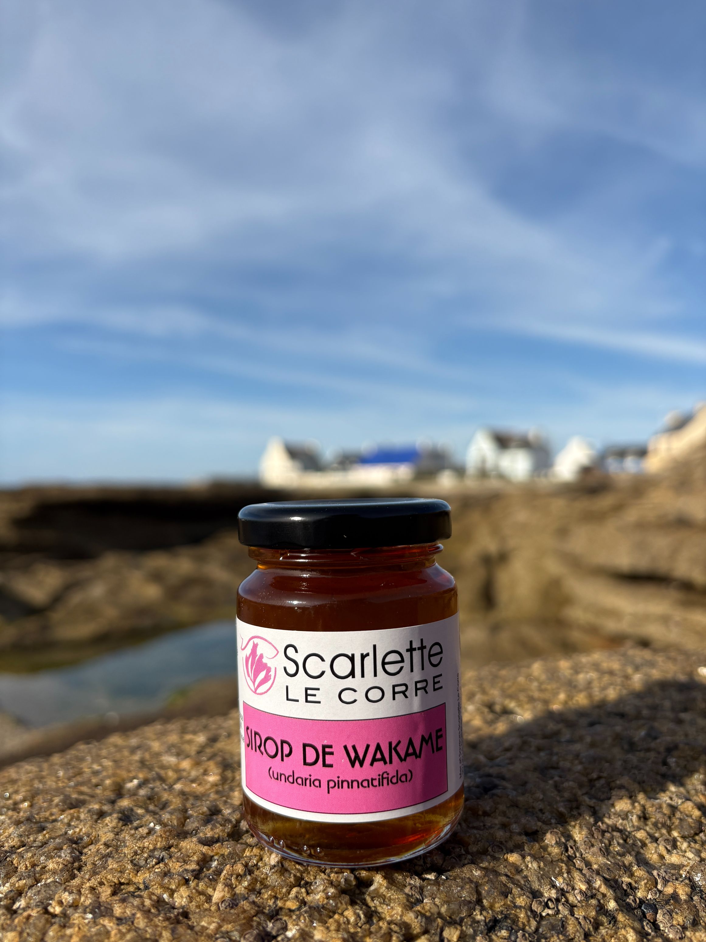 Le sirop de wakamé - ver. de 125g