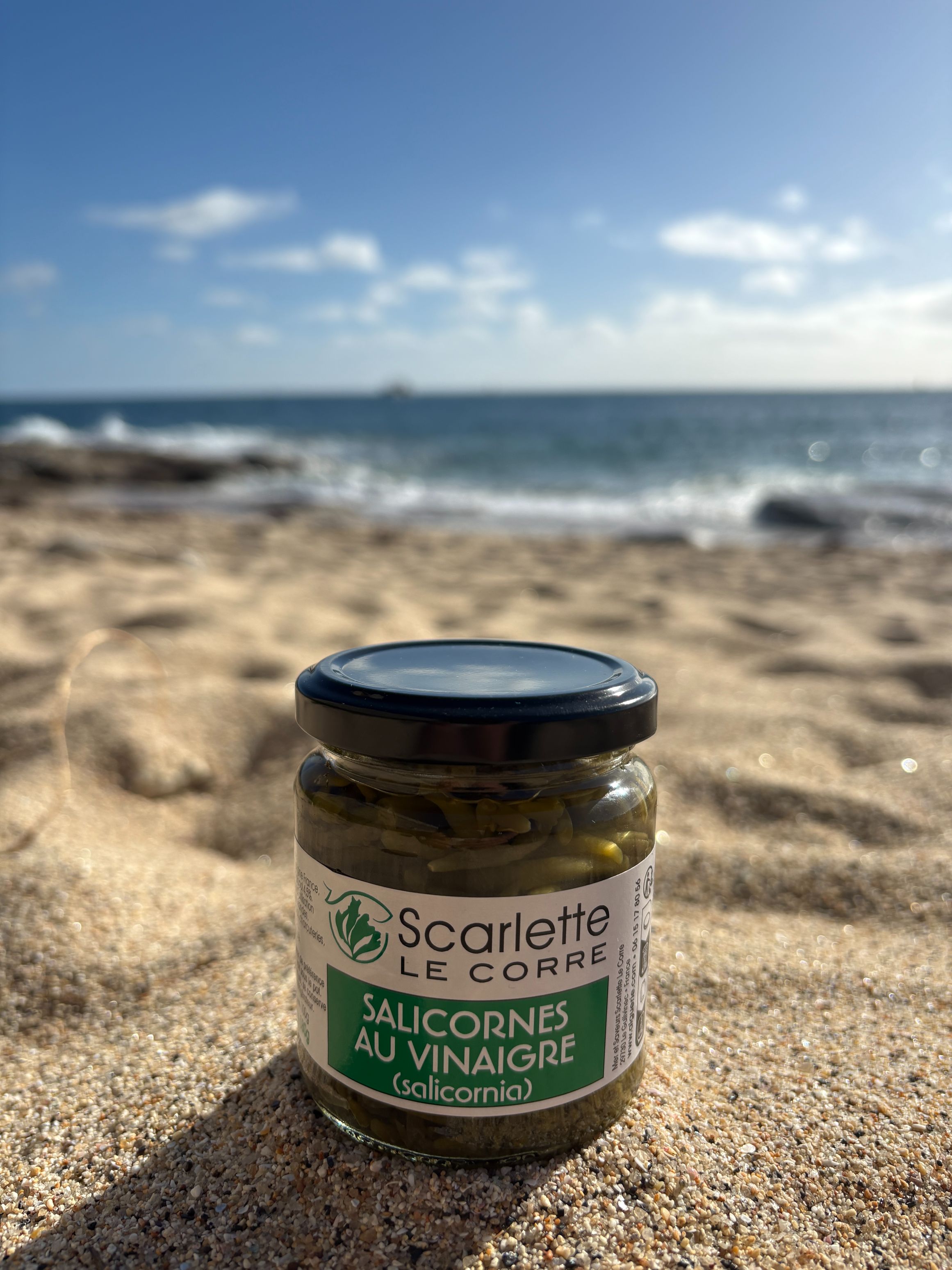 Salicornes  sauvages au vinaigre - Verrine de 180g