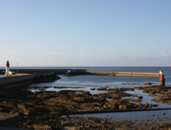 L'algue alimentaire : dulse rcoilte en sud Bretagne